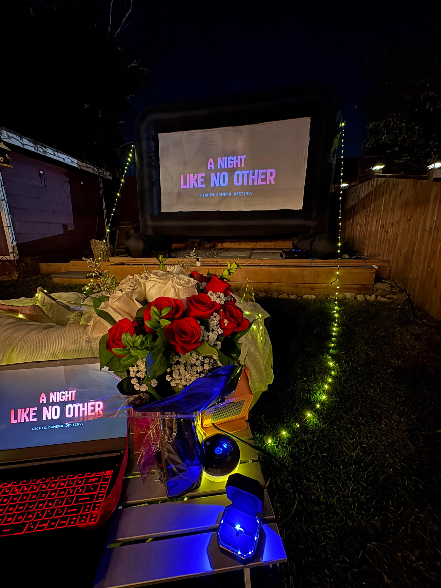 Under the stars movie screening