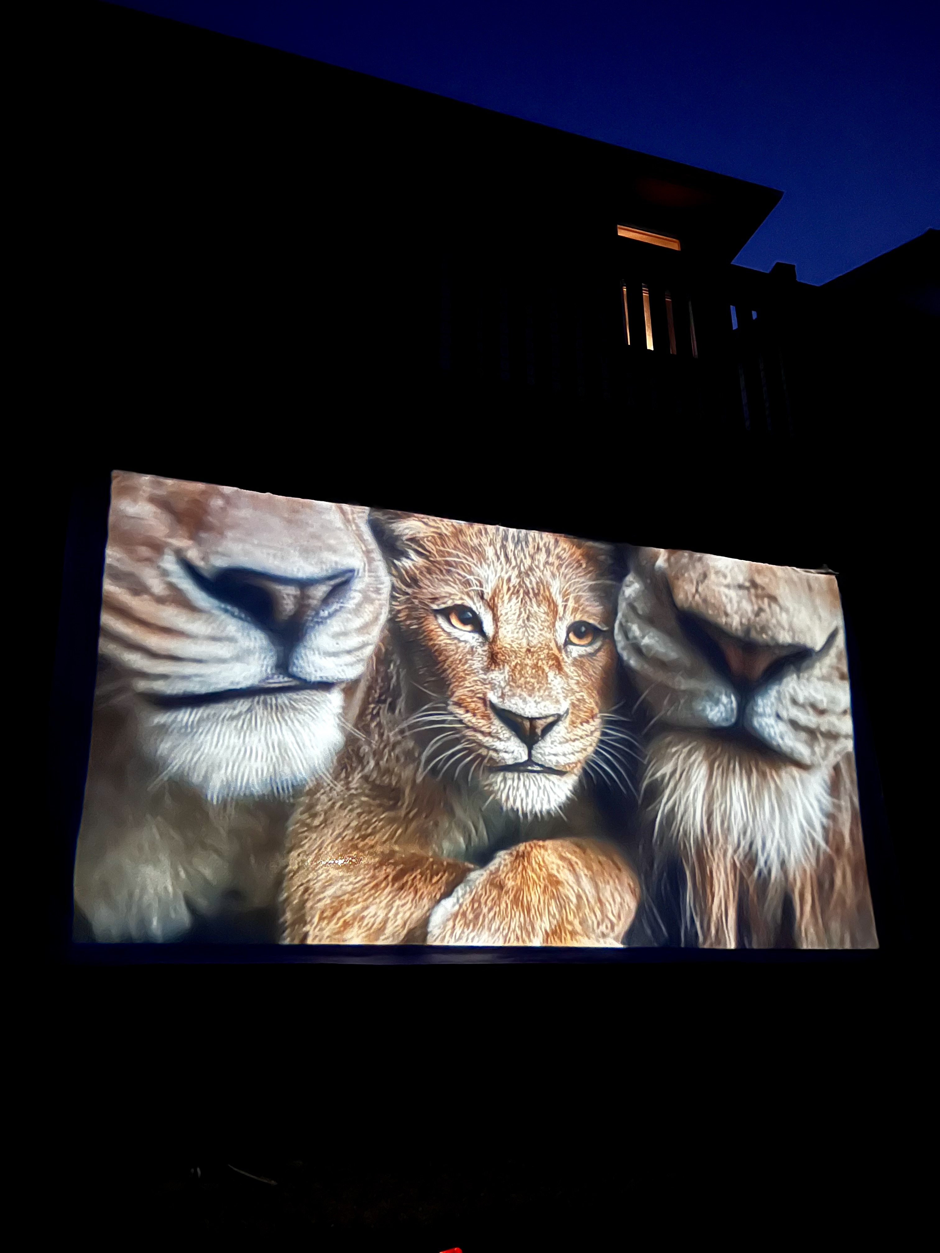 Night Owls cinema experience