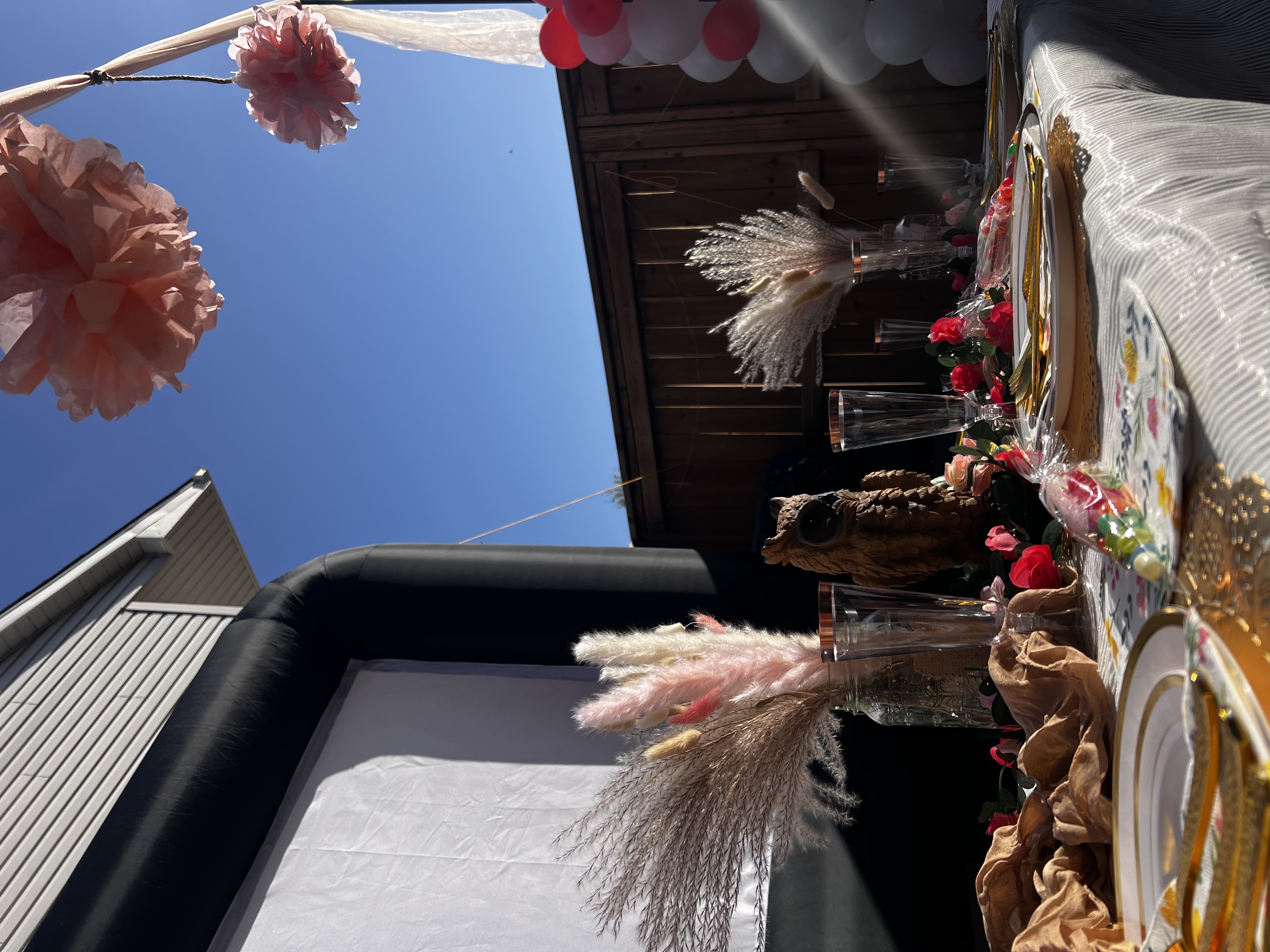 Family movie night outdoors