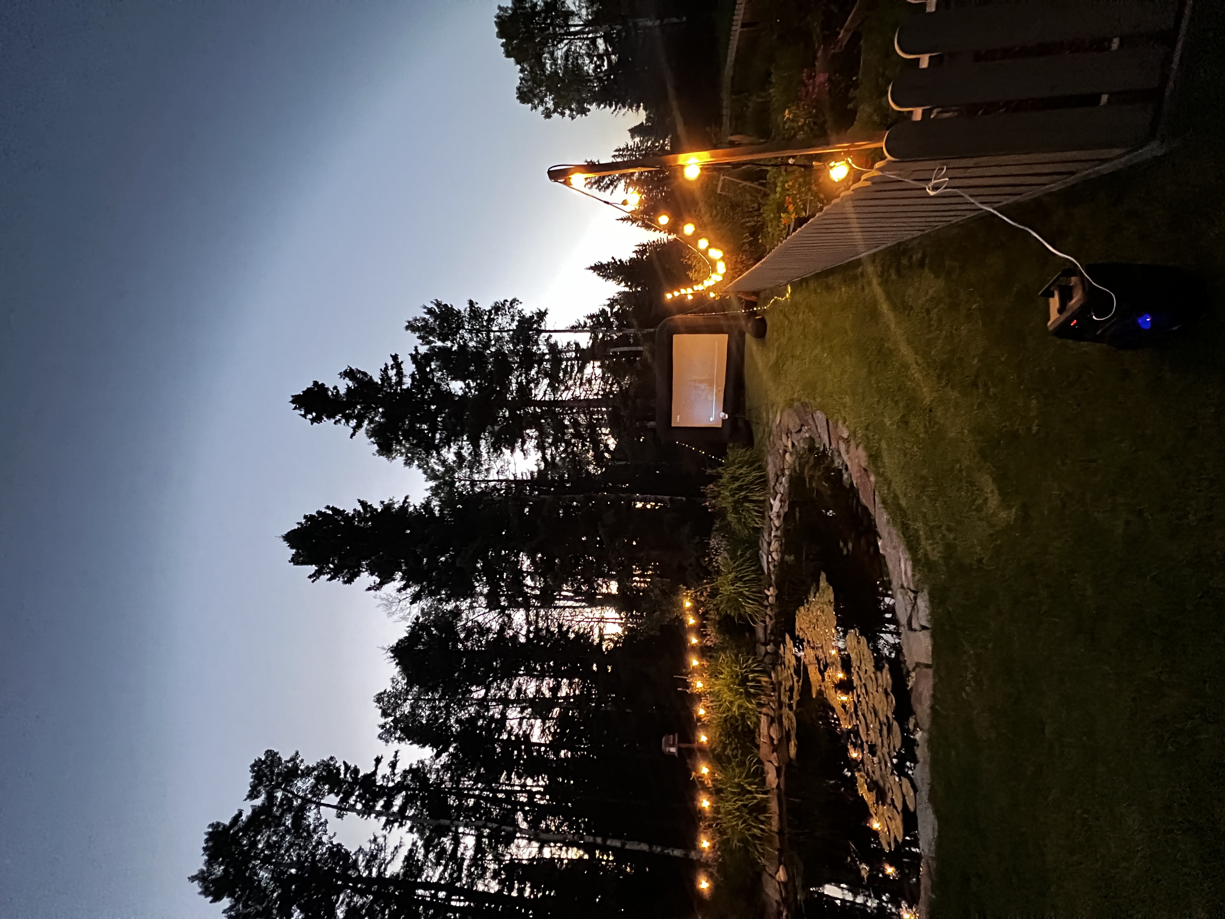 Backyard movie party setup