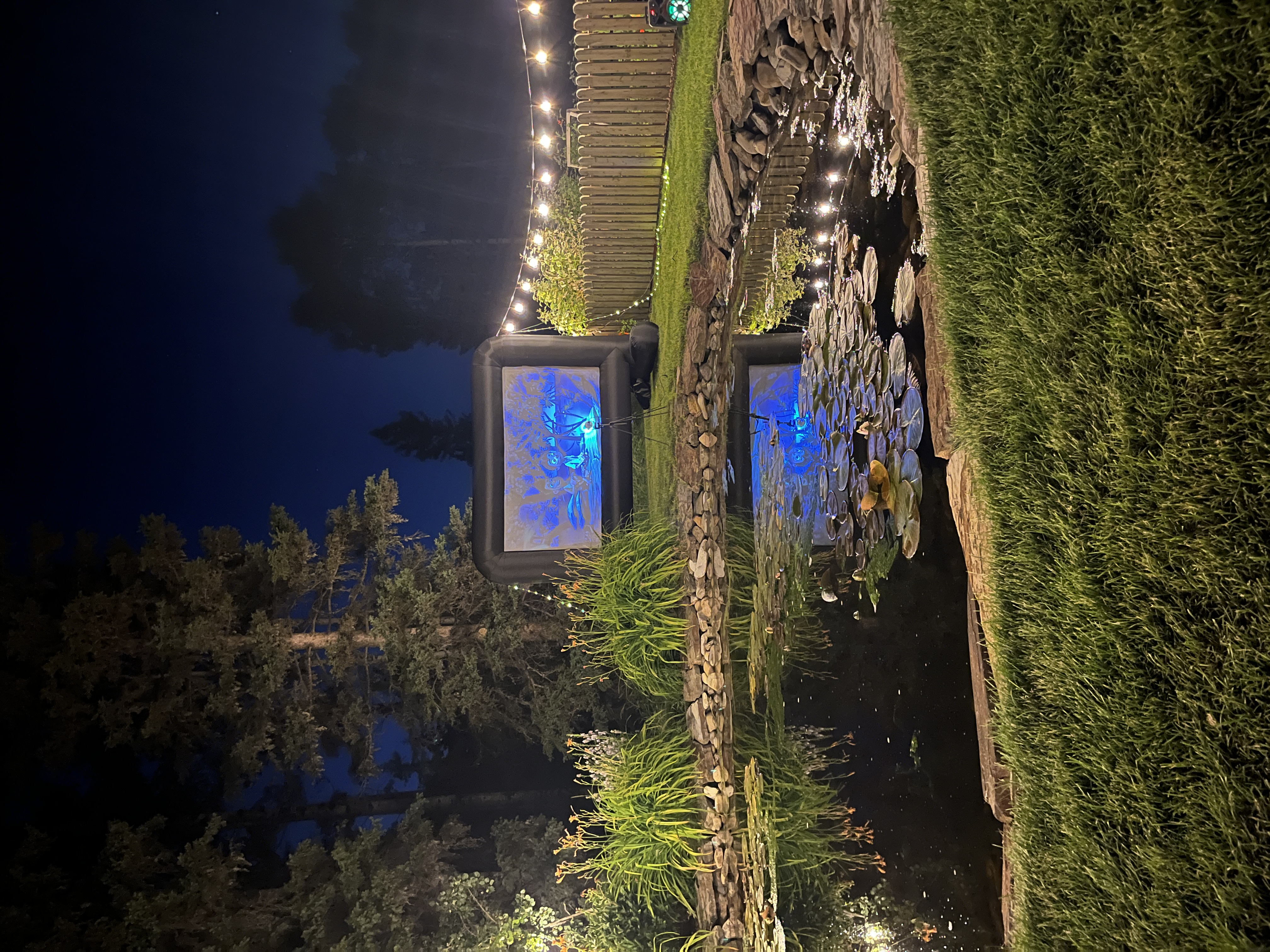 Premium backyard cinema experience